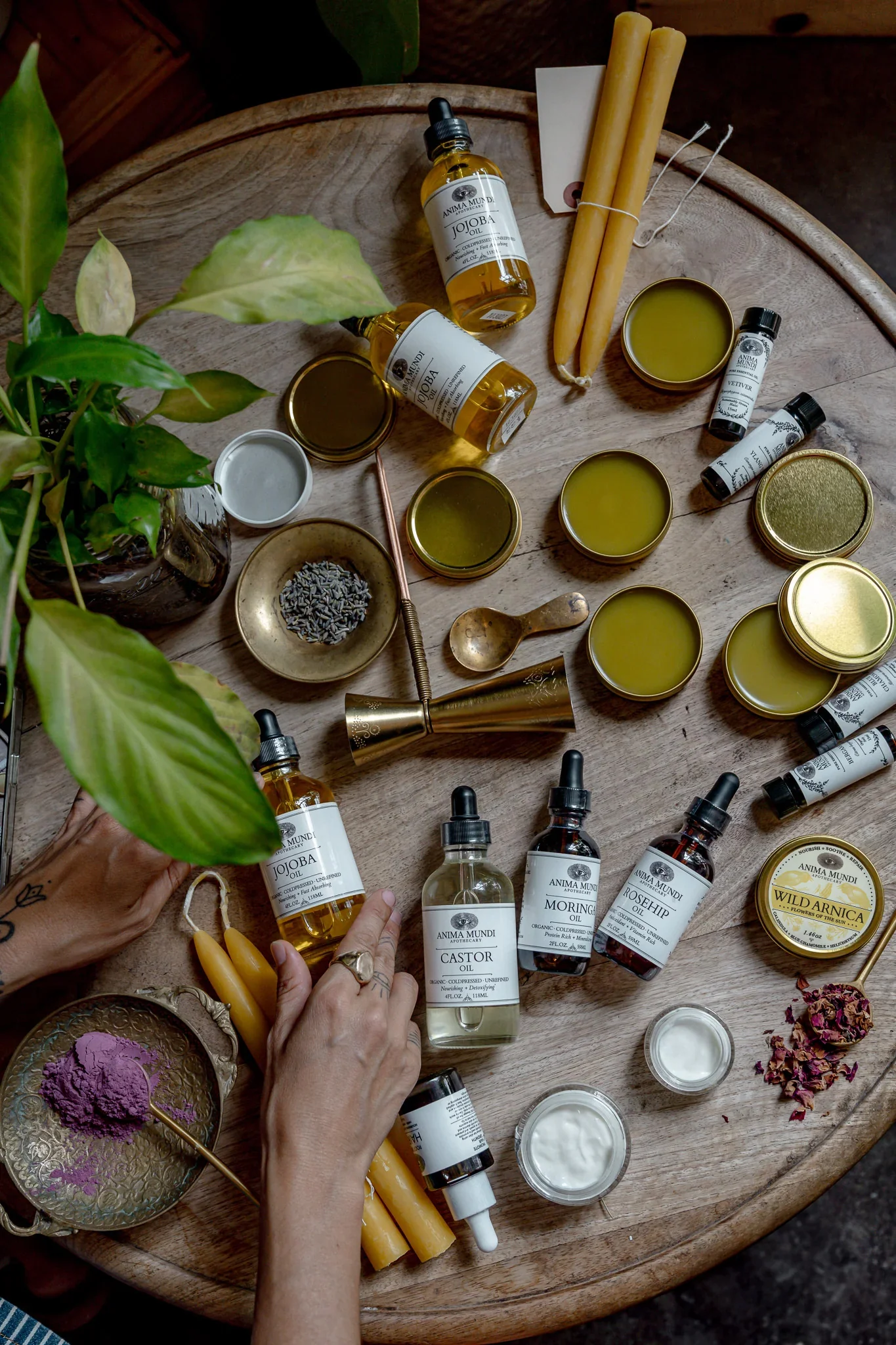 WILD ARNICA BALM | Flowers of the Sun - Image 7