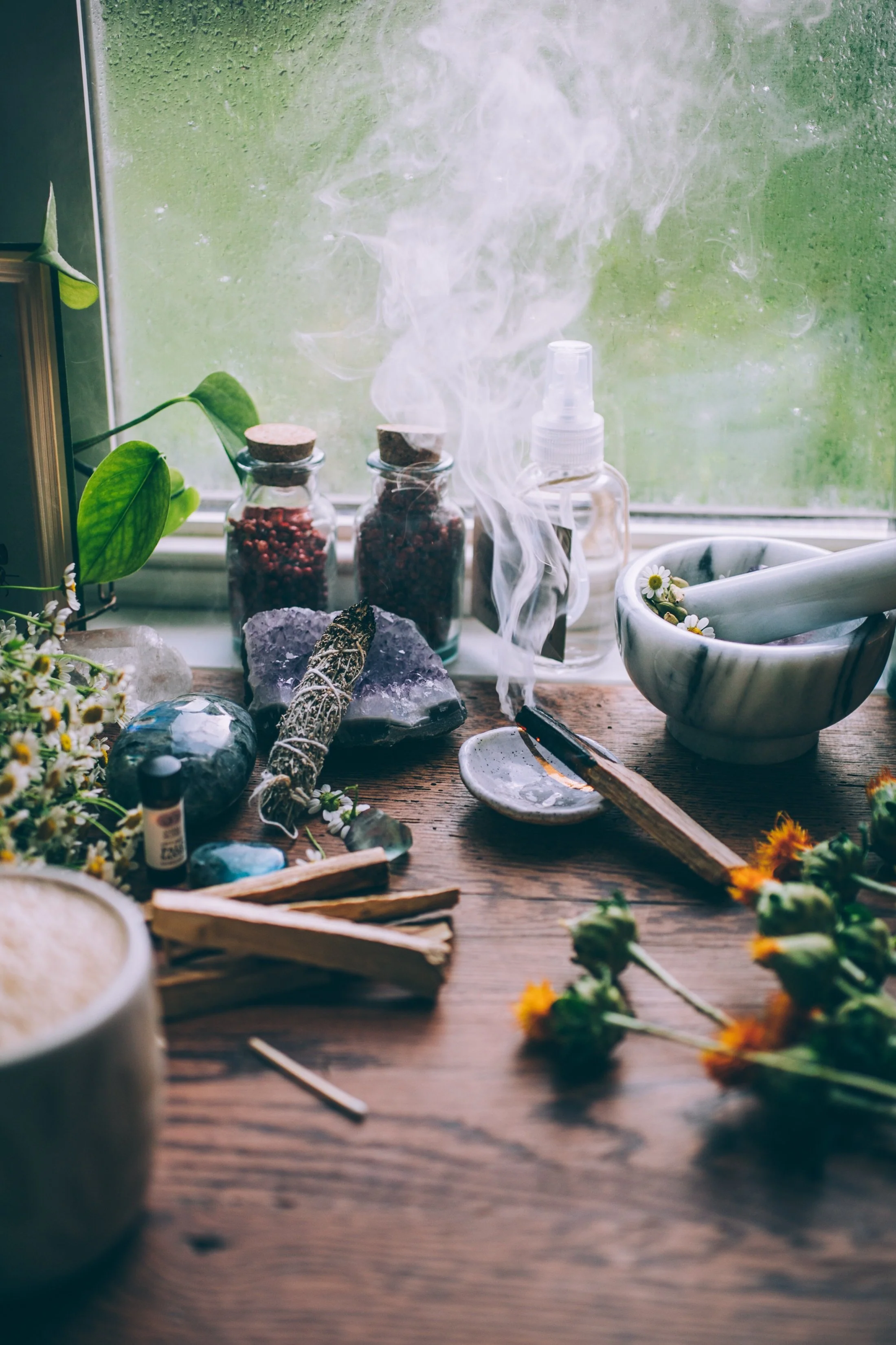 PALO SANTO | Sacred Wood Incense - Image 3