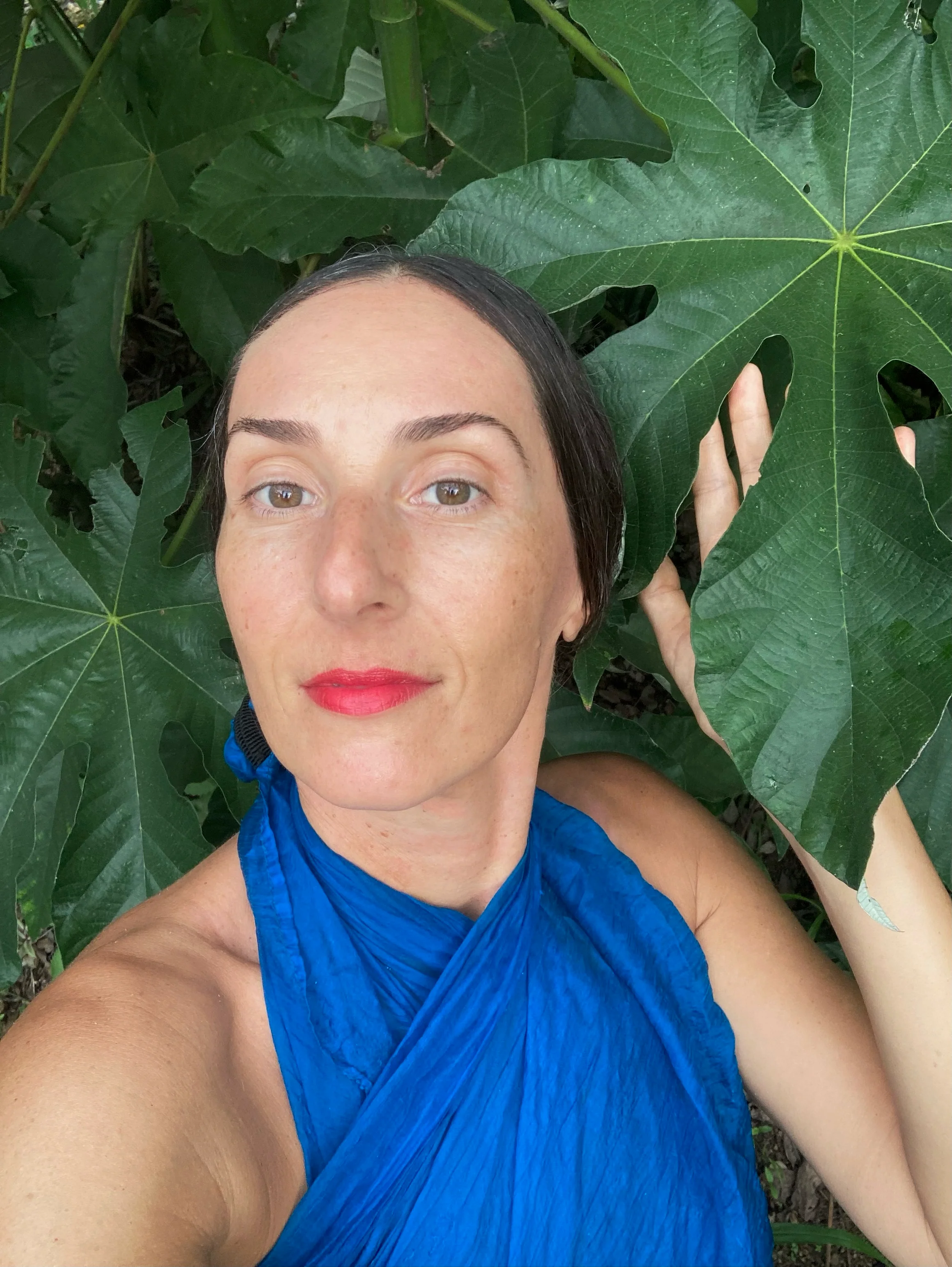 The Tarot + Plant Spirit Healing: Archetypes of Leo Season - Image 2