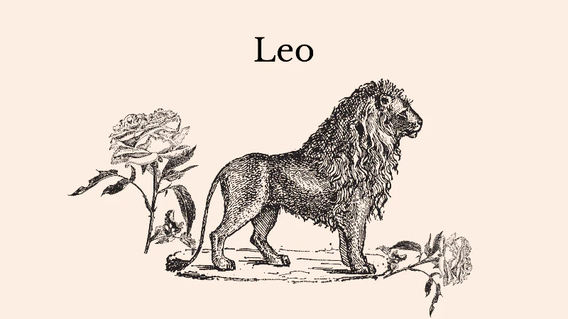 The Tarot + Plant Spirit Healing: Archetypes of Leo Season - Image 3