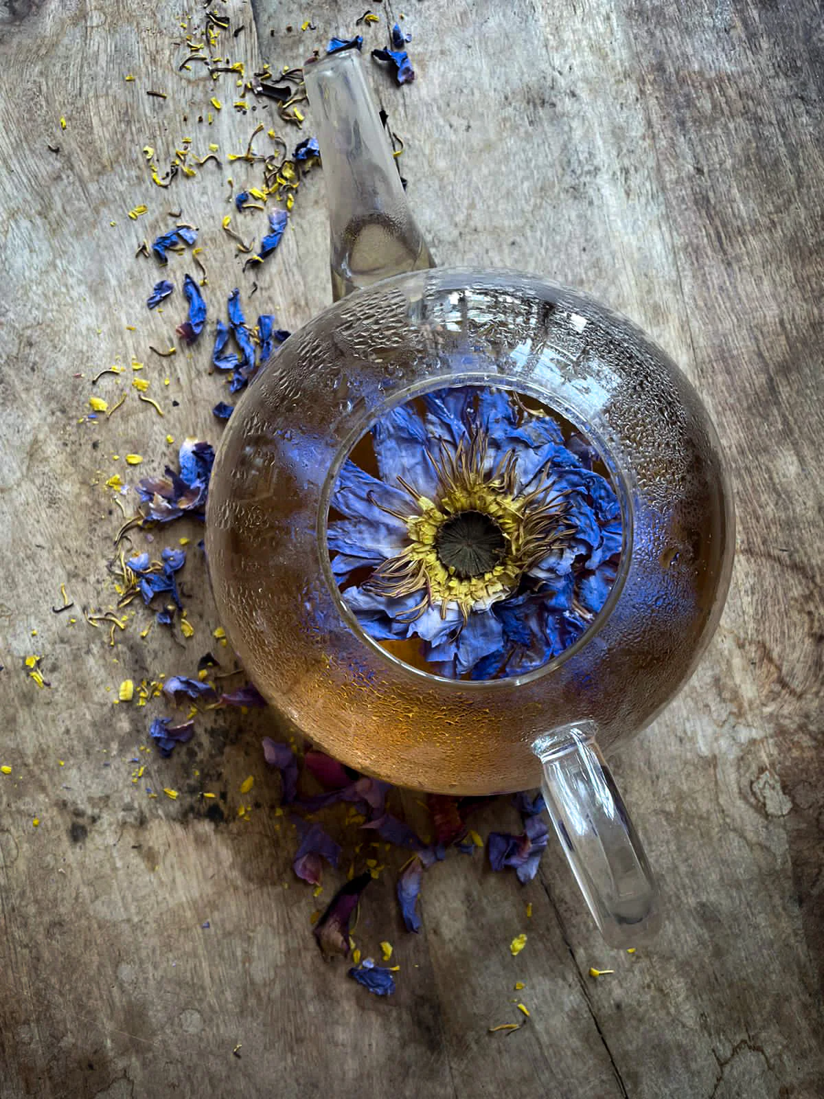 WHOLE BLUE FLOWERS | Blossoms of Intuition* - Image 8